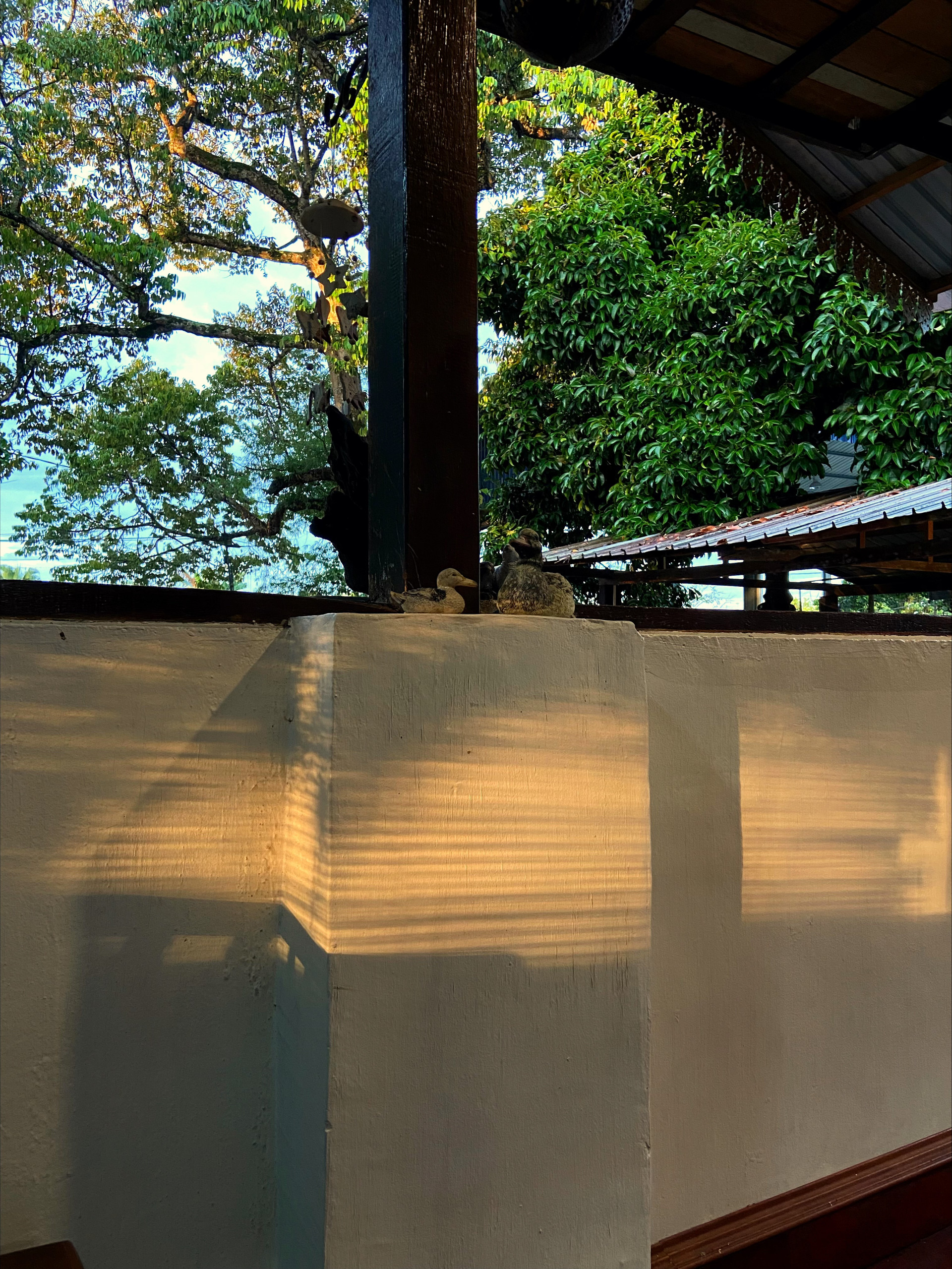 Cover Photo