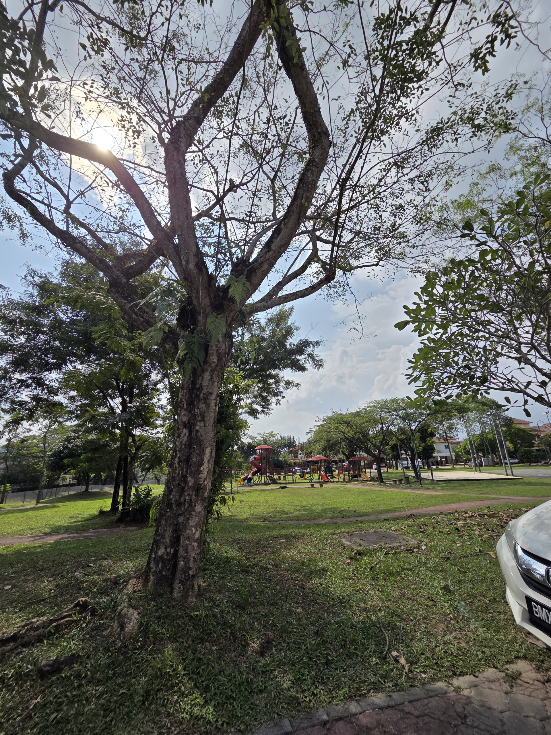 Cover Photo