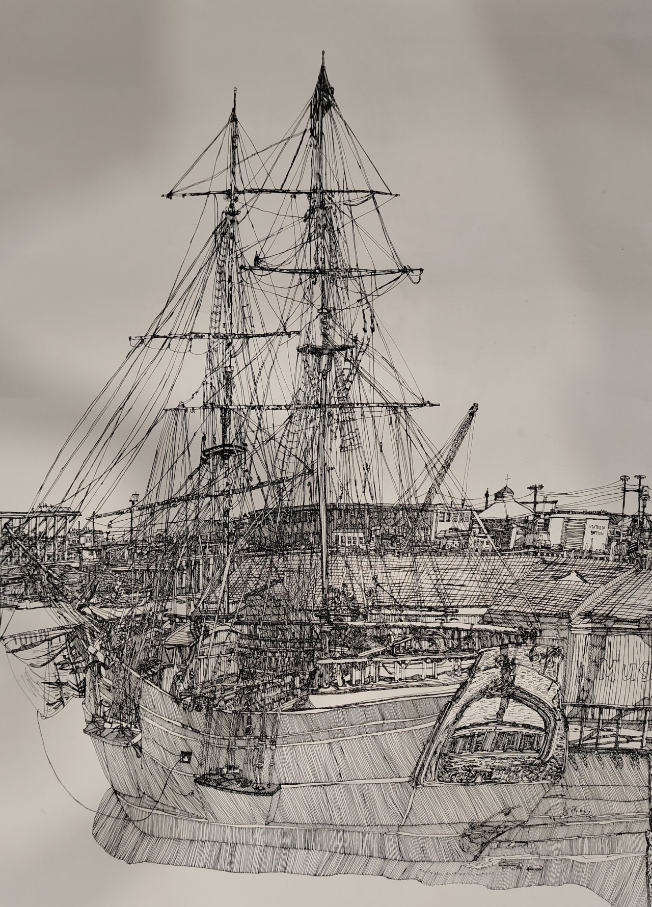 Whispers of the Harbor Wind