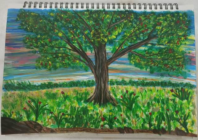 Cover Photo