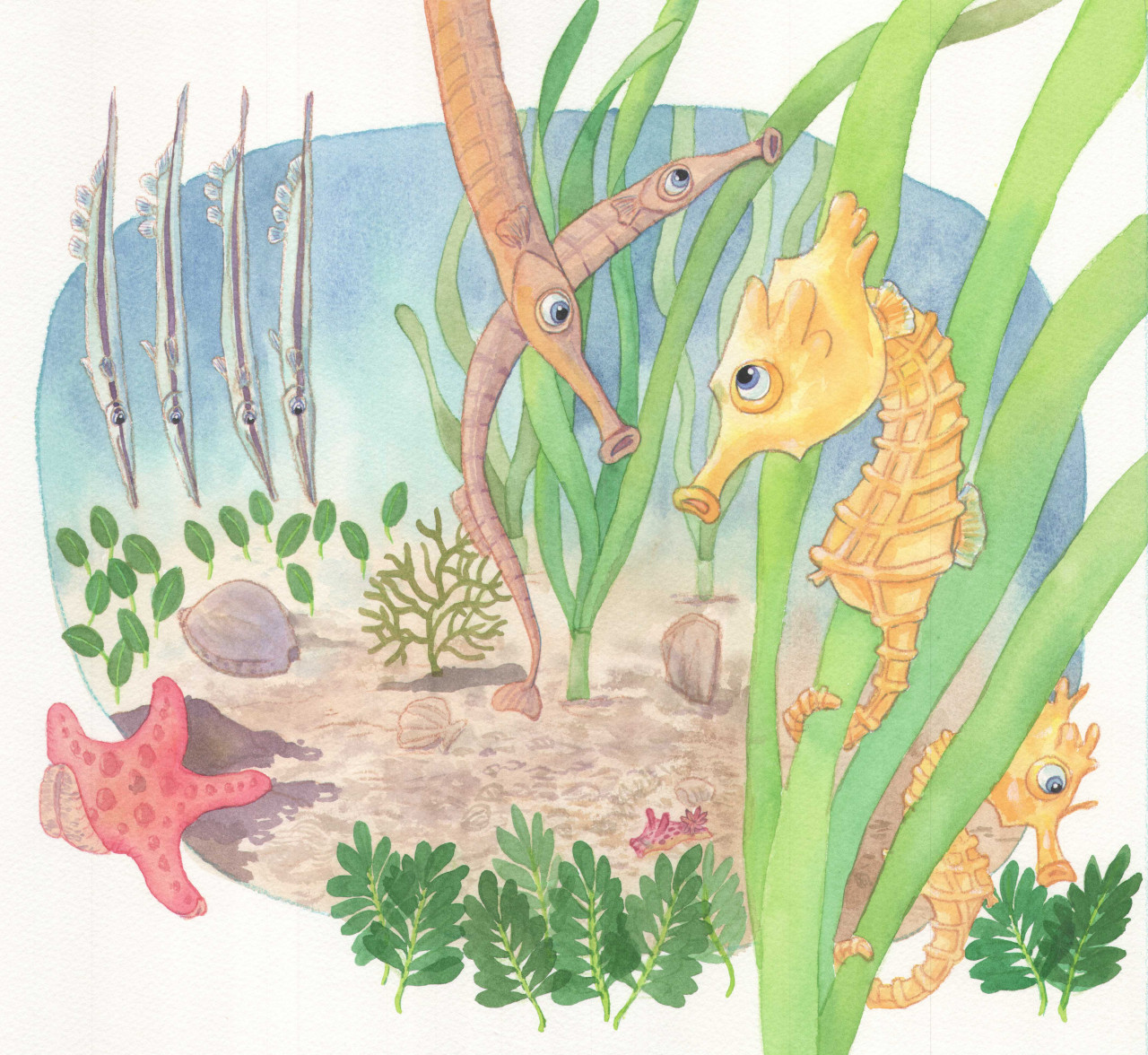 Ecology I