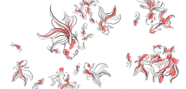Cover Photo