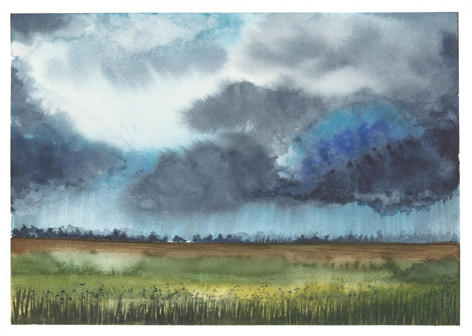 Rain