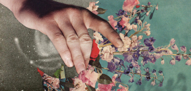 Cover Photo