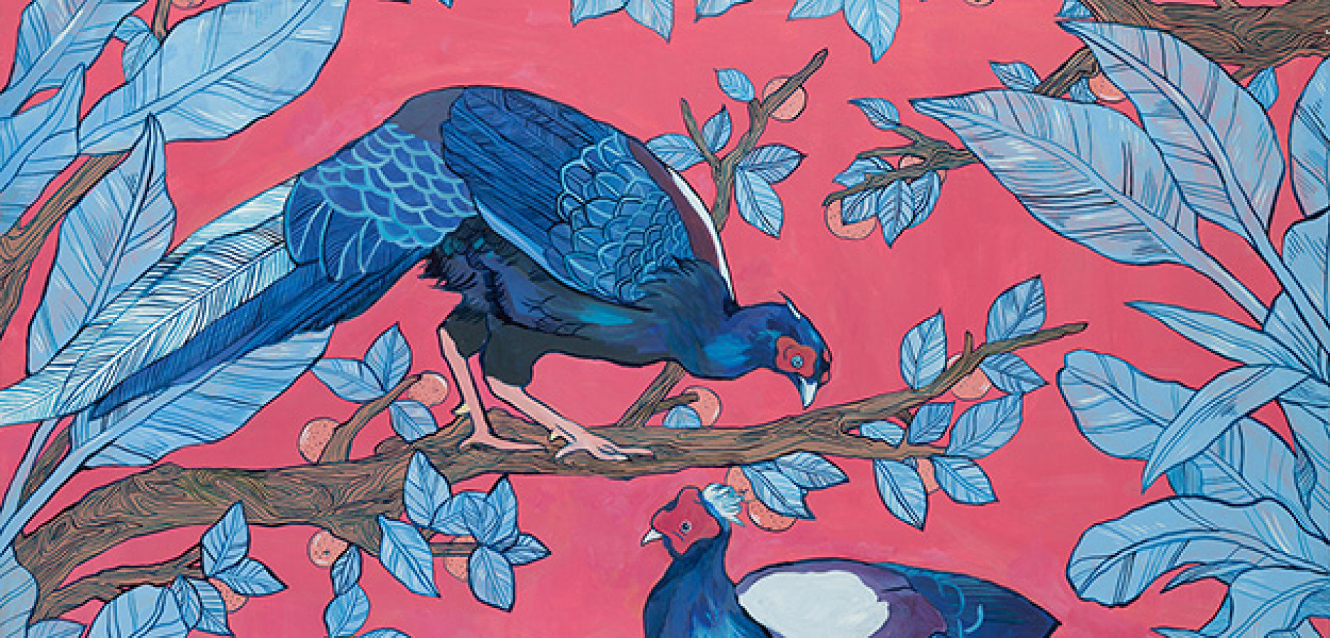 Cover Photo