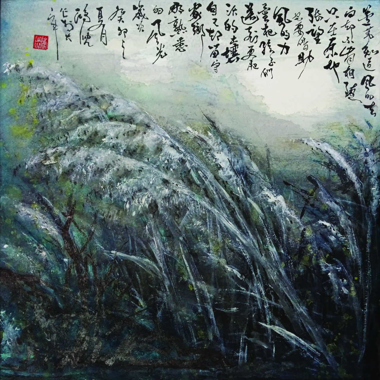 Reed Flower 芦苇花