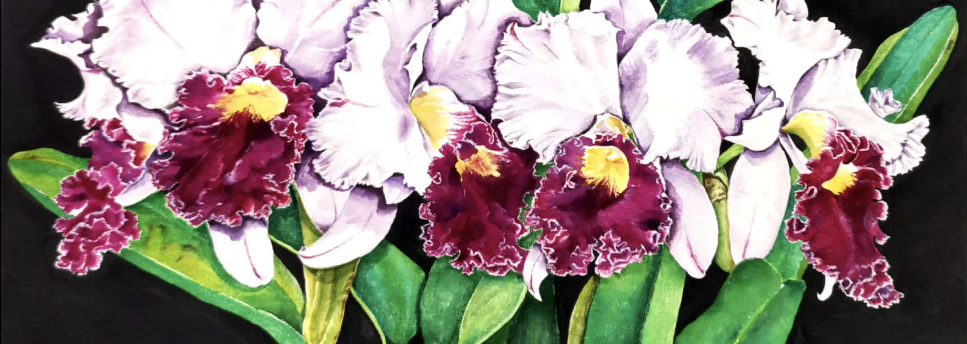 Cover Photo
