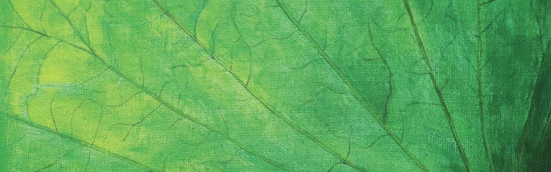Cover Photo