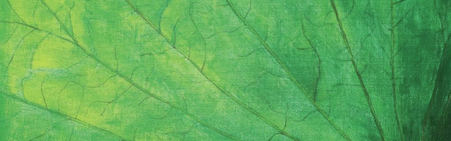 Cover Photo