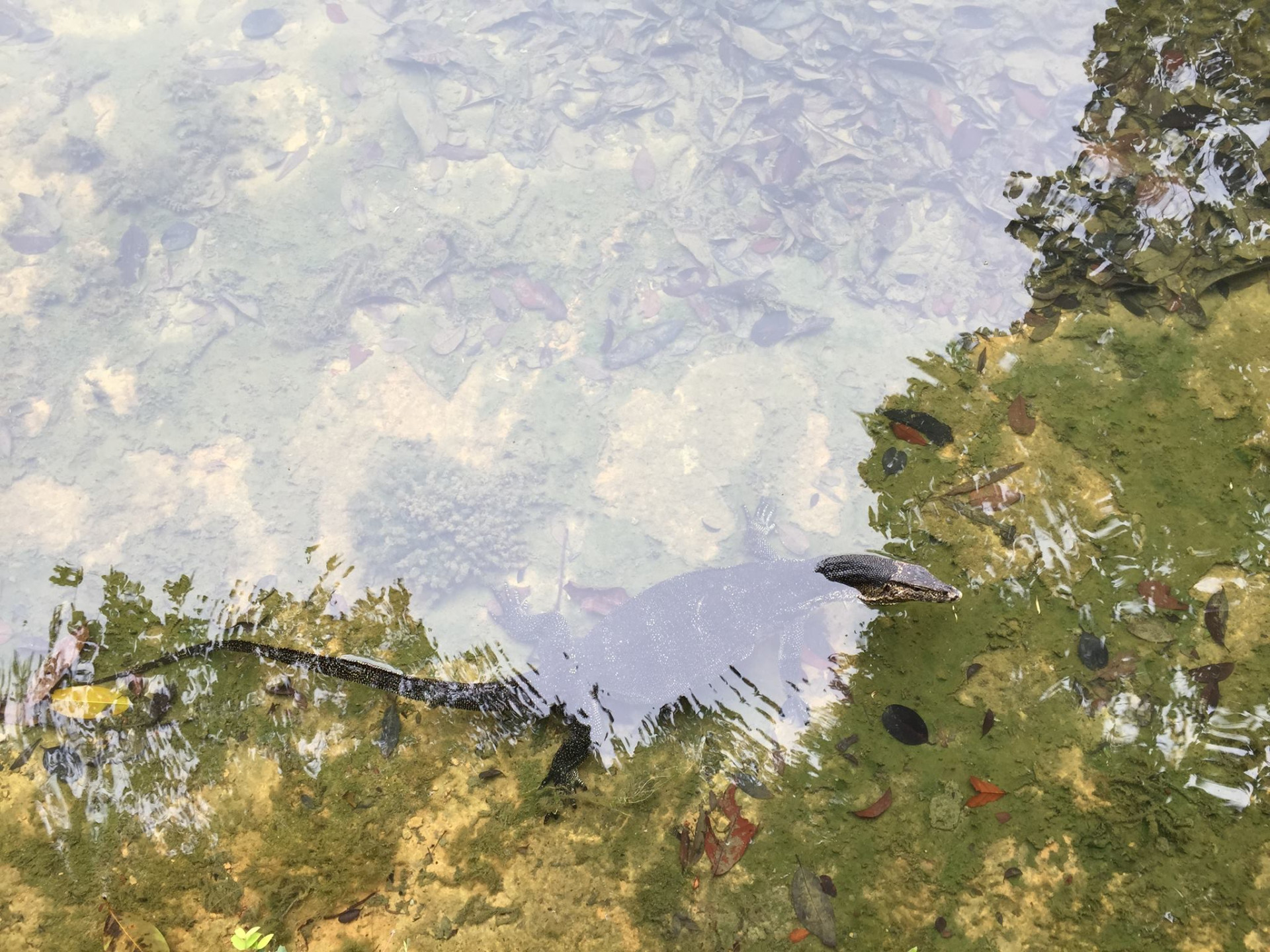 Cover Photo