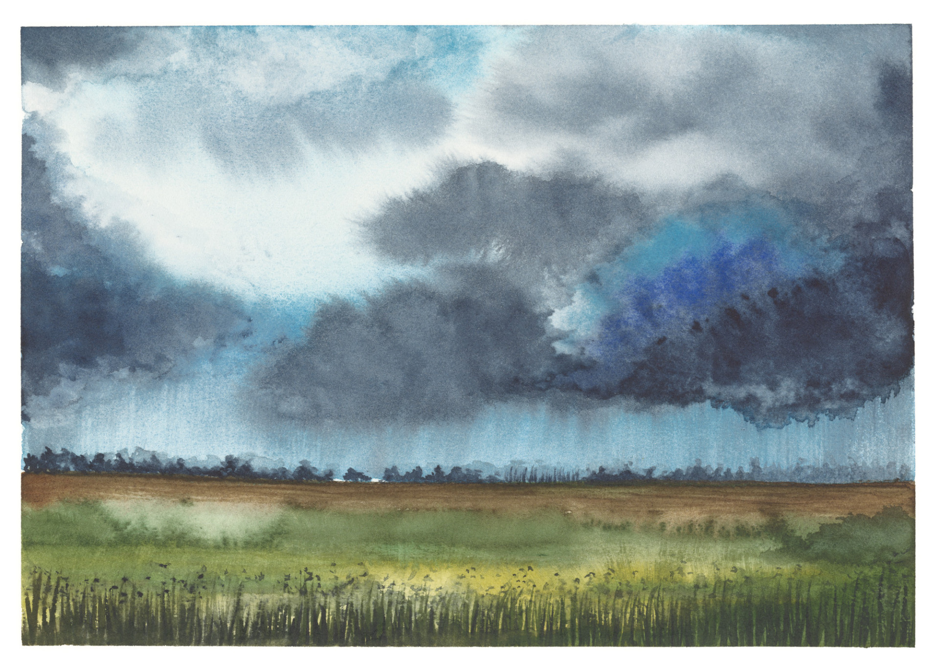 Rain
