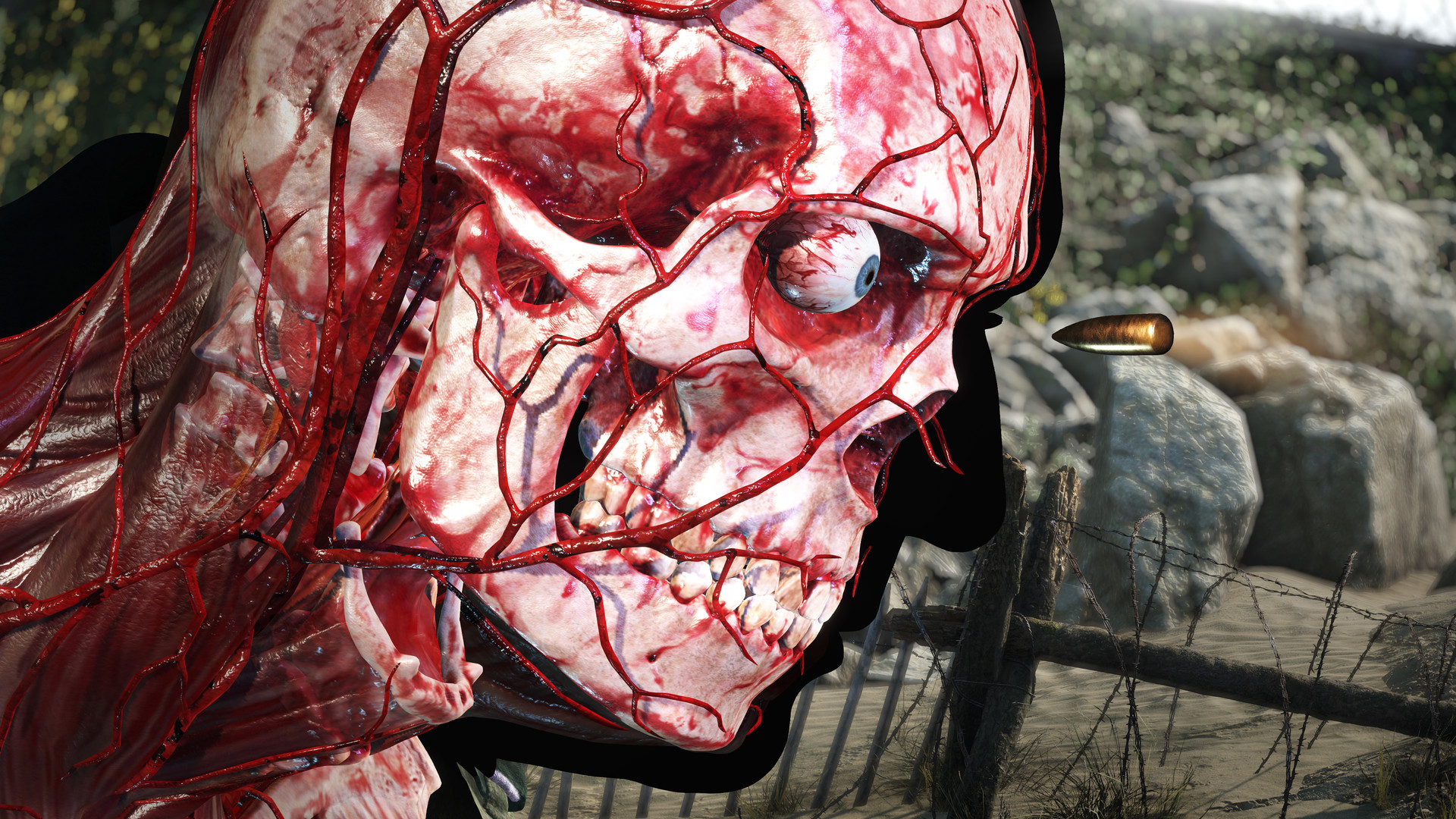 狙击精英 5 Sniper Elite 5