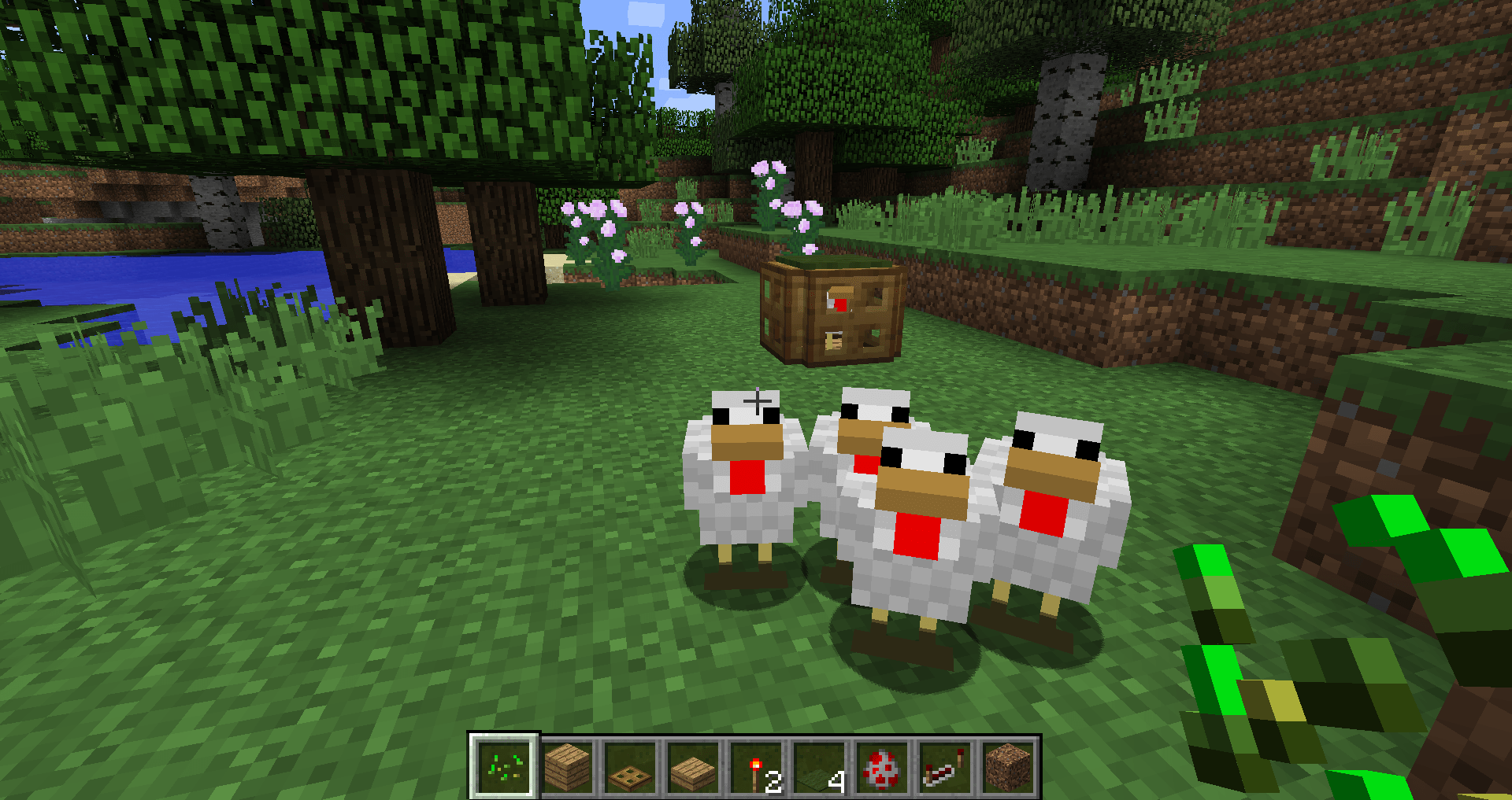 我的世界 Minecraft