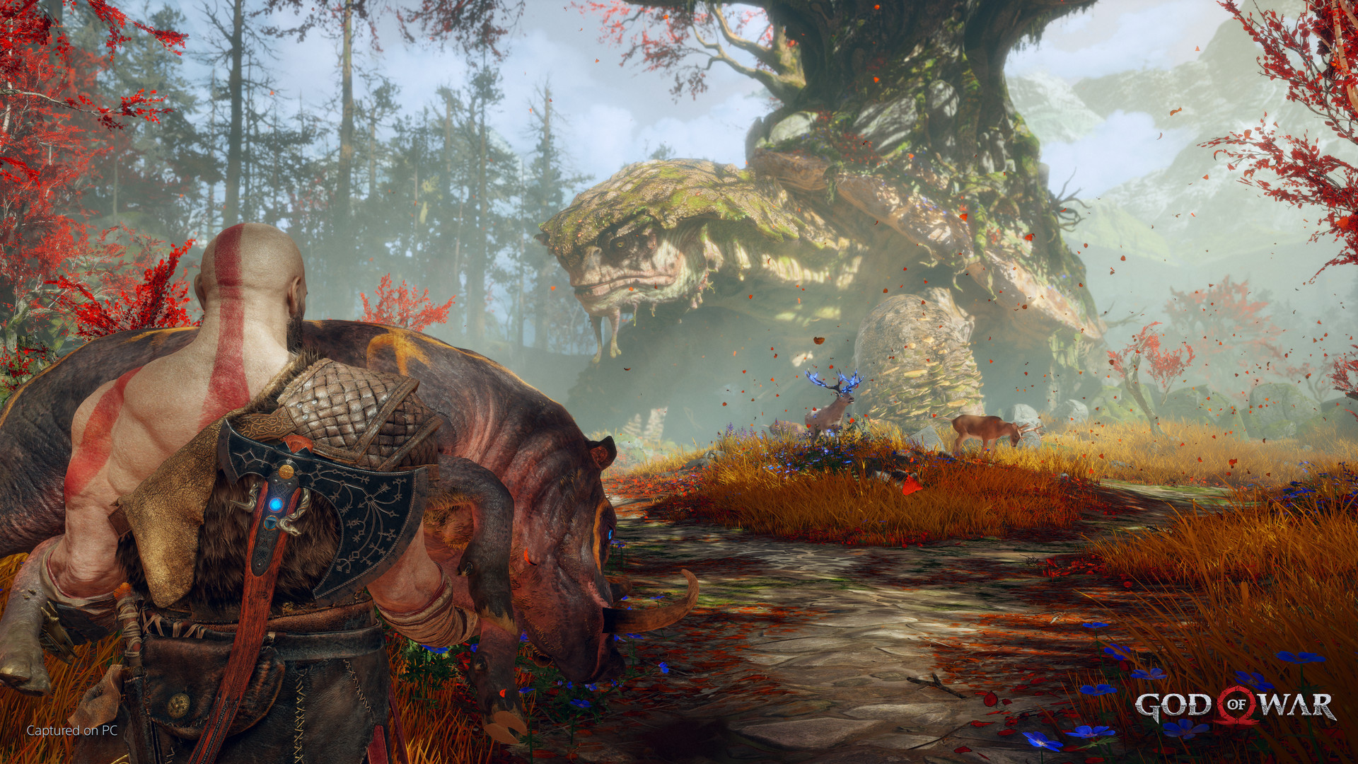 战神 PC God of War PC