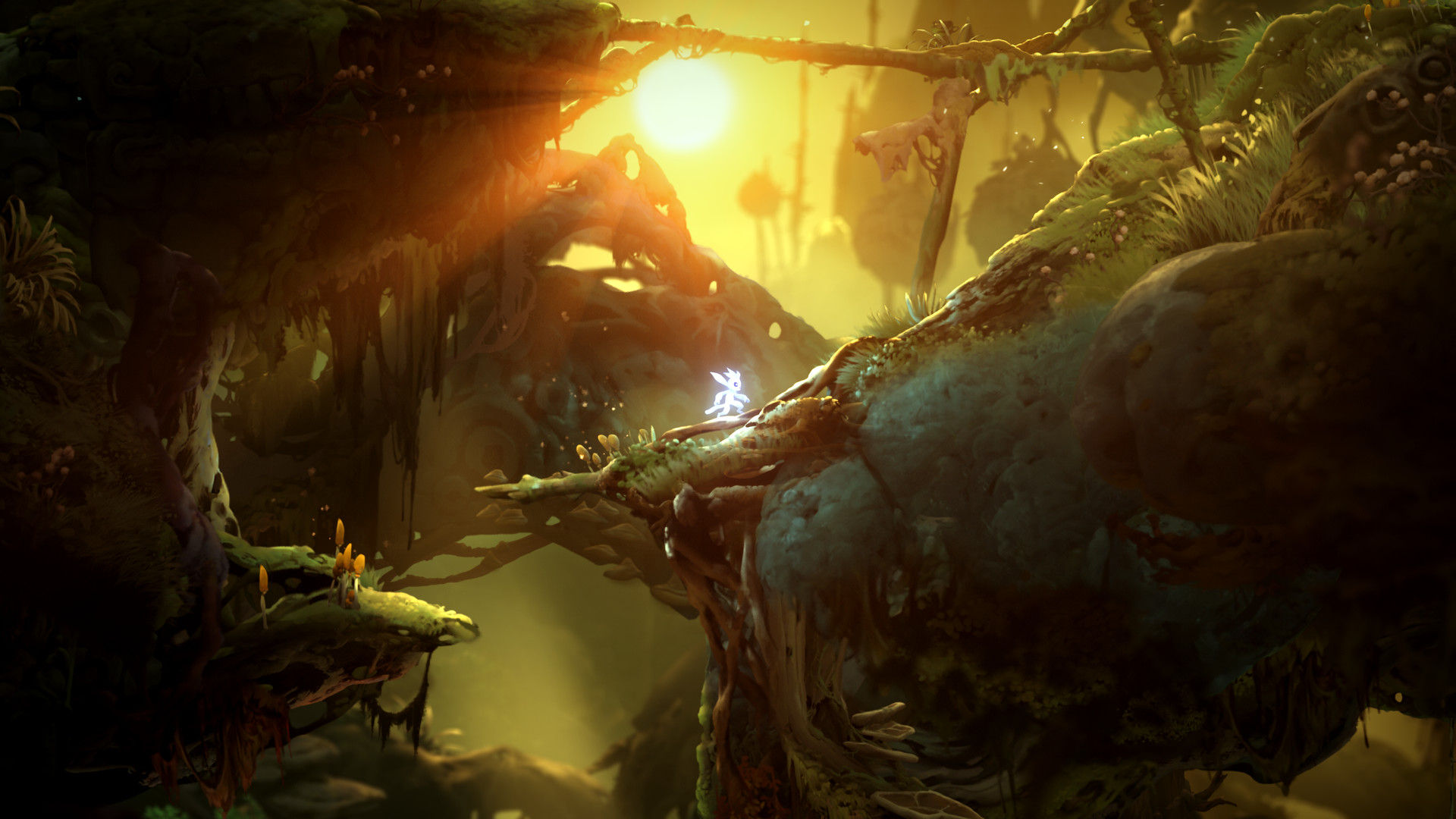 圣灵之光2 Ori and the Will of the Wisps