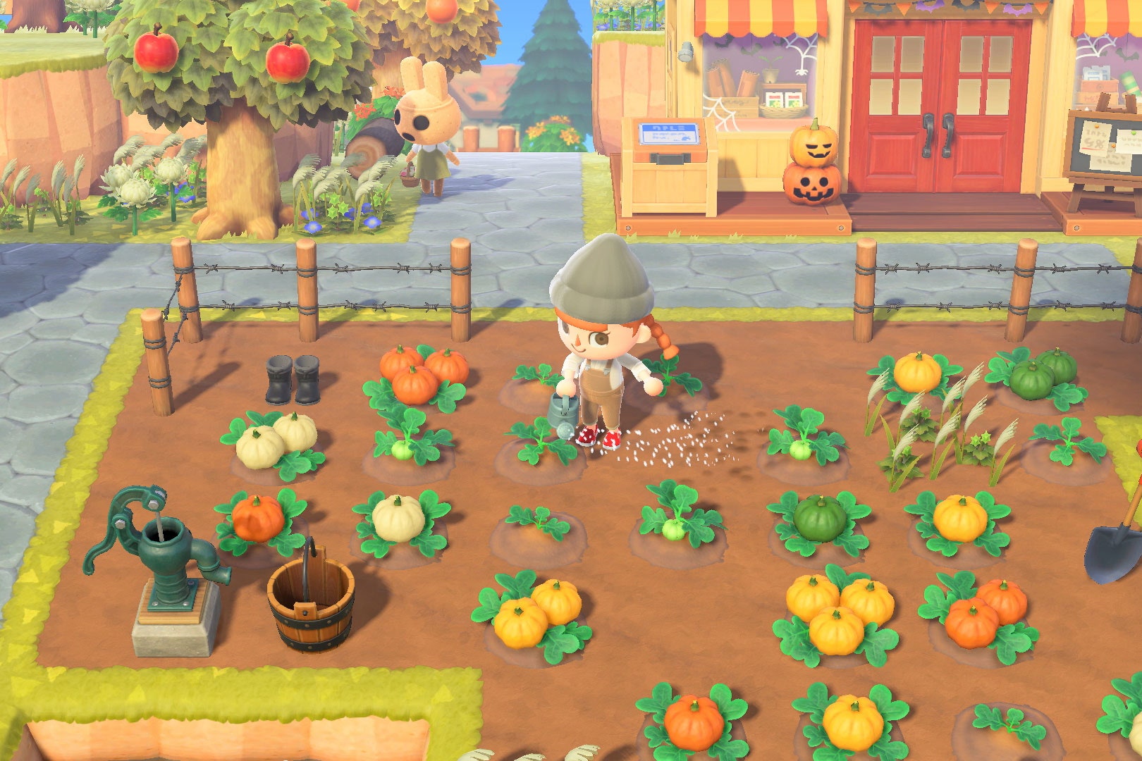集合啦！动物森友会 Animal Crossing New Horizons