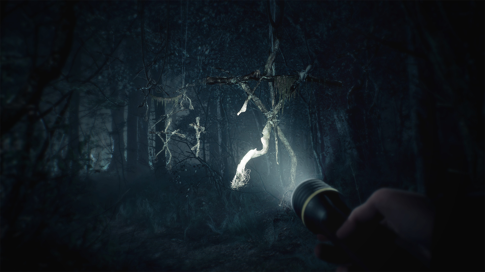 厄夜丛林 Blair Witch