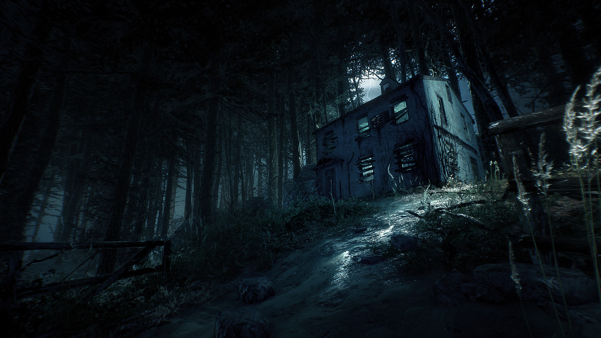 厄夜丛林 Blair Witch
