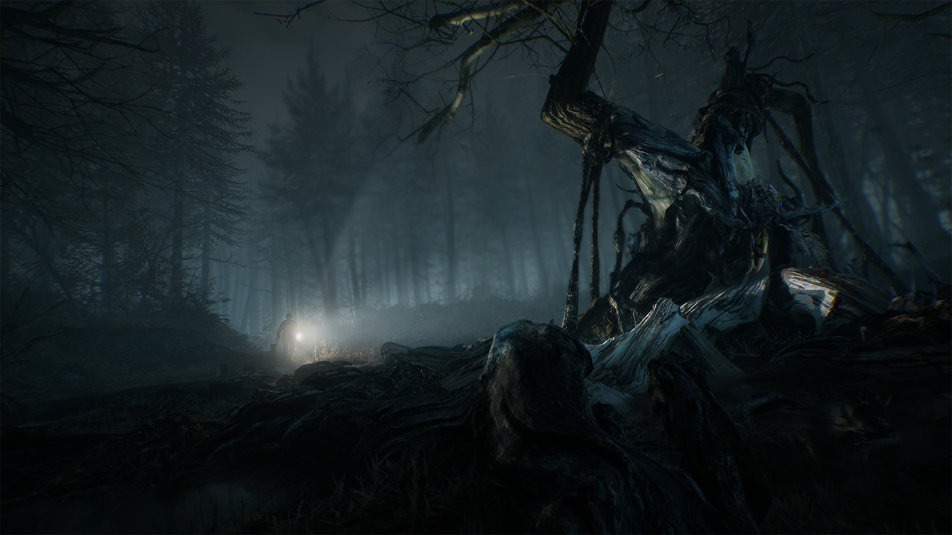 厄夜丛林 Blair Witch