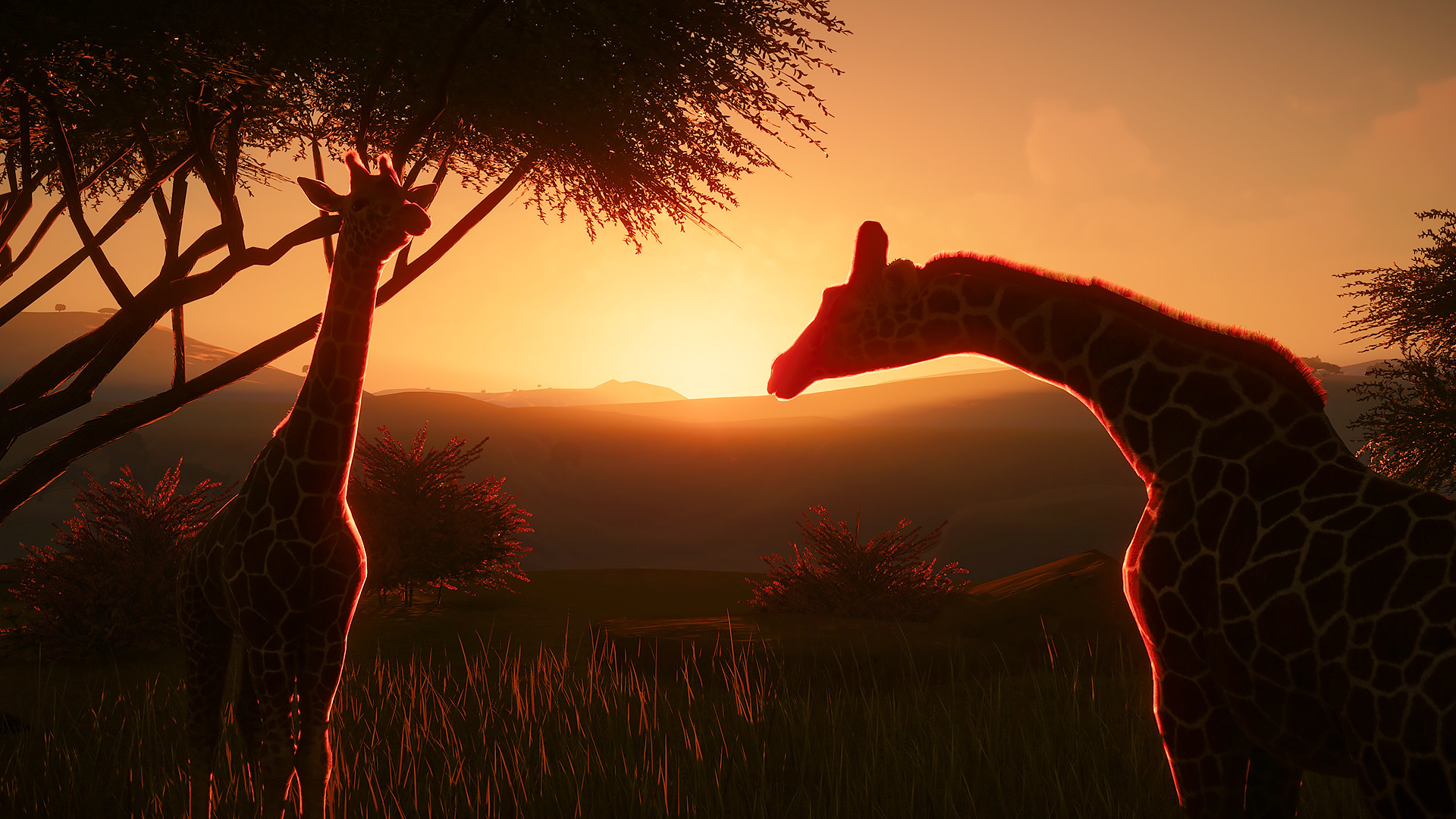 动物园之星 Planet Zoo