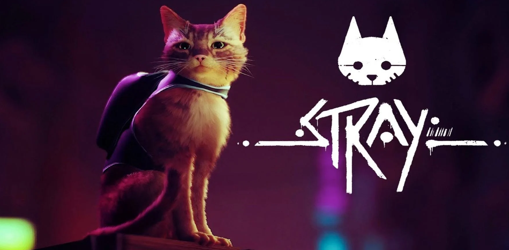 赛猫朋克出动。《Stray》预定将在今年夏季推出，登陆 PS4 / PS5 / PC 平台，并支援中文字幕。