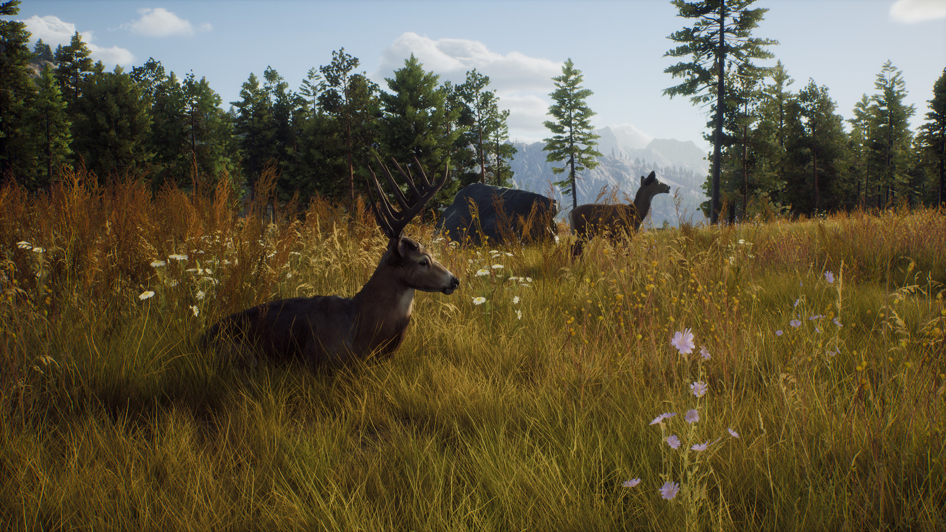 狩猎之道 Way of the Hunter