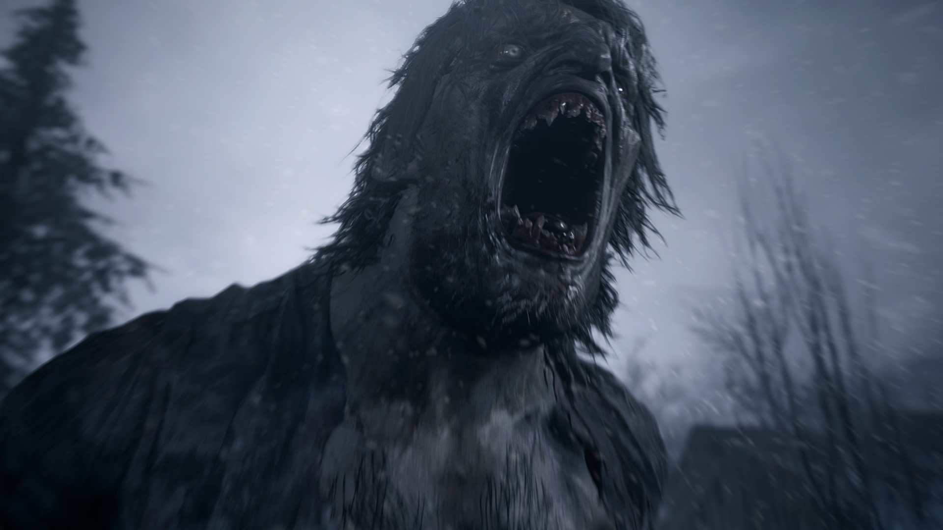 恶灵古堡 8：村庄 Resident Evil 8:Village