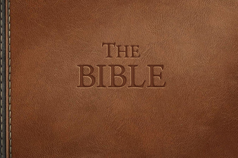 比历史书还助眠。全文字语音圣经《The Bible》预定将在 11 月 14 日推出，登陆 Steam 平台！
