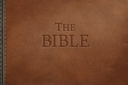 比历史书还助眠。全文字语音圣经《The Bible》预定将在 11 月 14 日推出，登陆 Steam 平台！