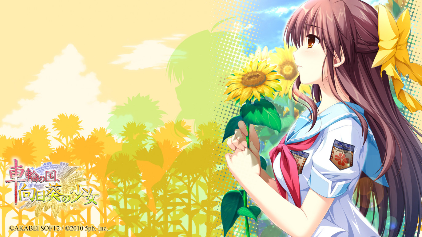 《车轮之国：向日葵的少女》由于无法在期限内完成作品交付，因此取消 Playstation Vita 版。