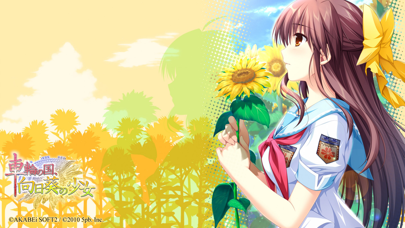 《车轮之国：向日葵的少女》由于无法在期限内完成作品交付，因此取消 Playstation Vita 版。