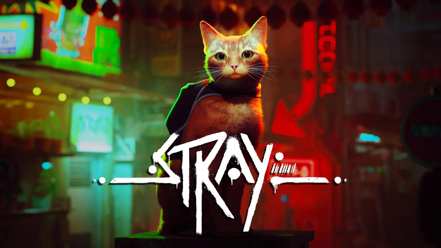 Xbox versions of Stray rated by ESRB