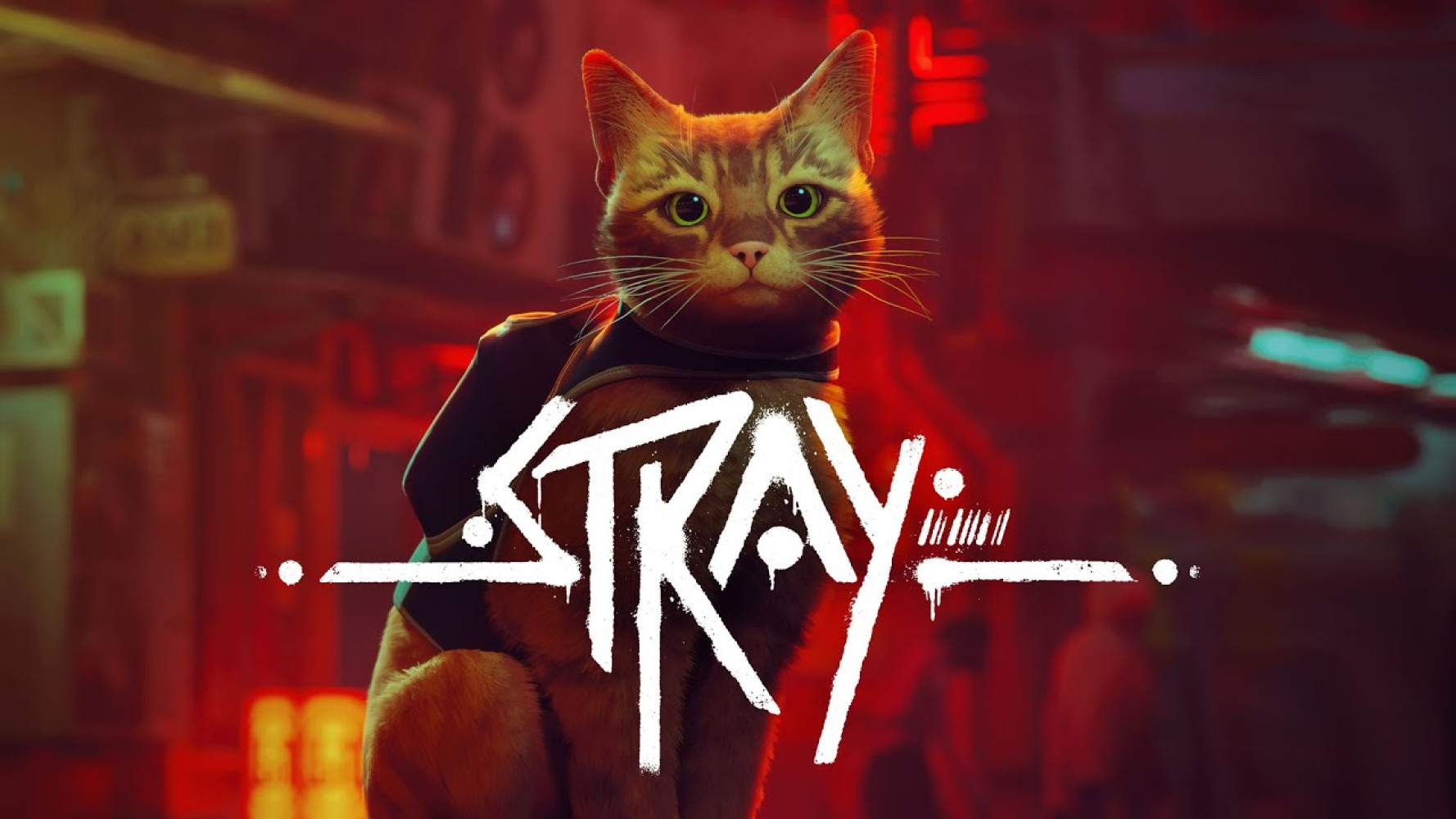 Annapurna Animation to adapt cat game Stray into animated film
