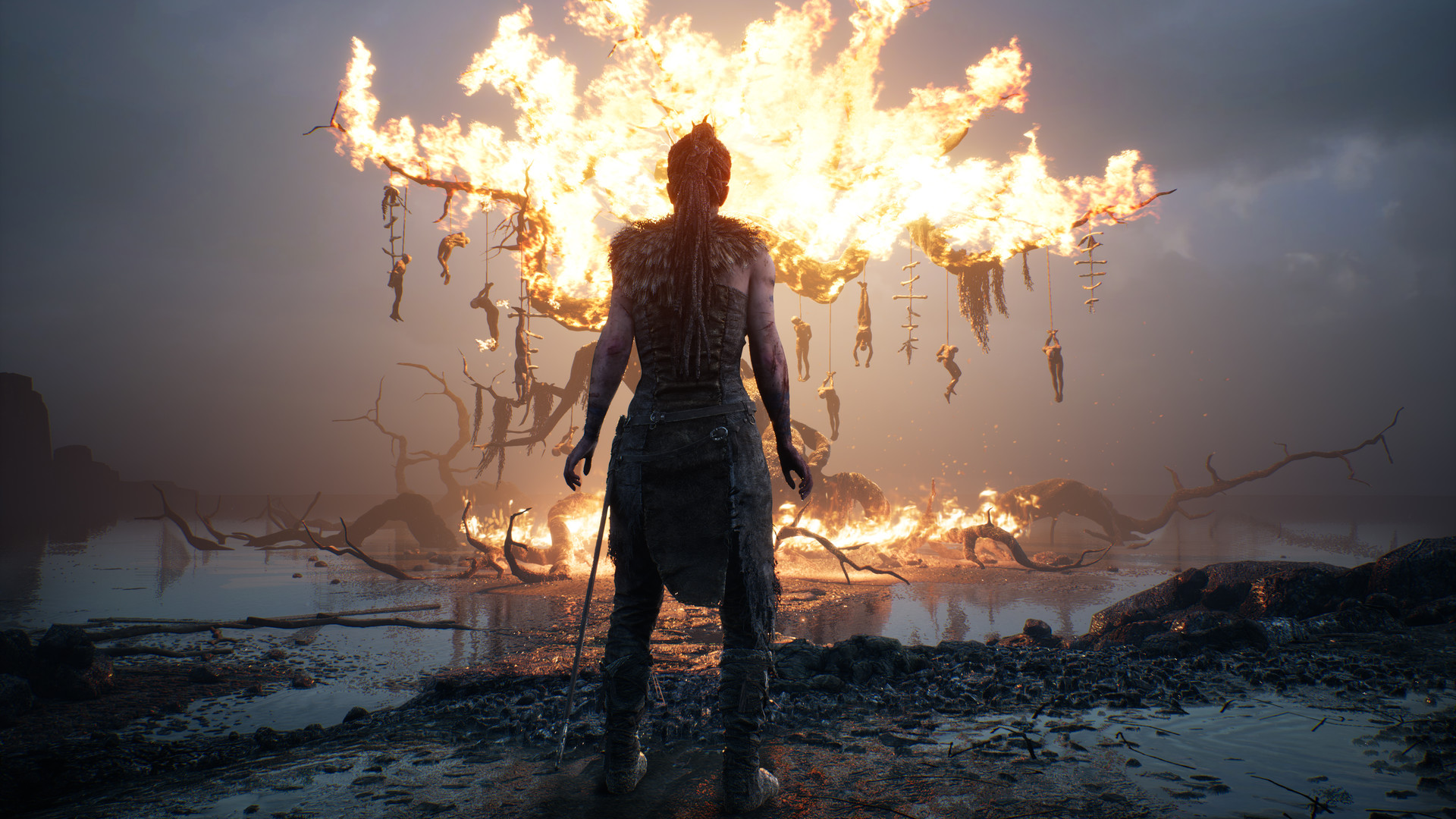 地狱之刃：賽奴雅的献祭 Hellblade:Senua's Sacrifice