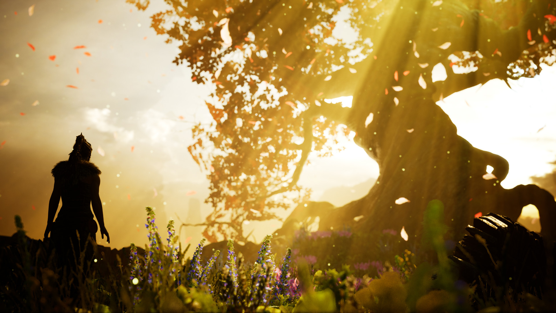 地狱之刃：賽奴雅的献祭 Hellblade:Senua's Sacrifice