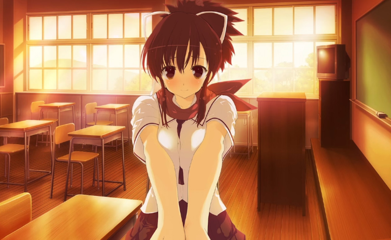 忍纾压：闪乱神乐 Shinobi Refle:Senran Kagura