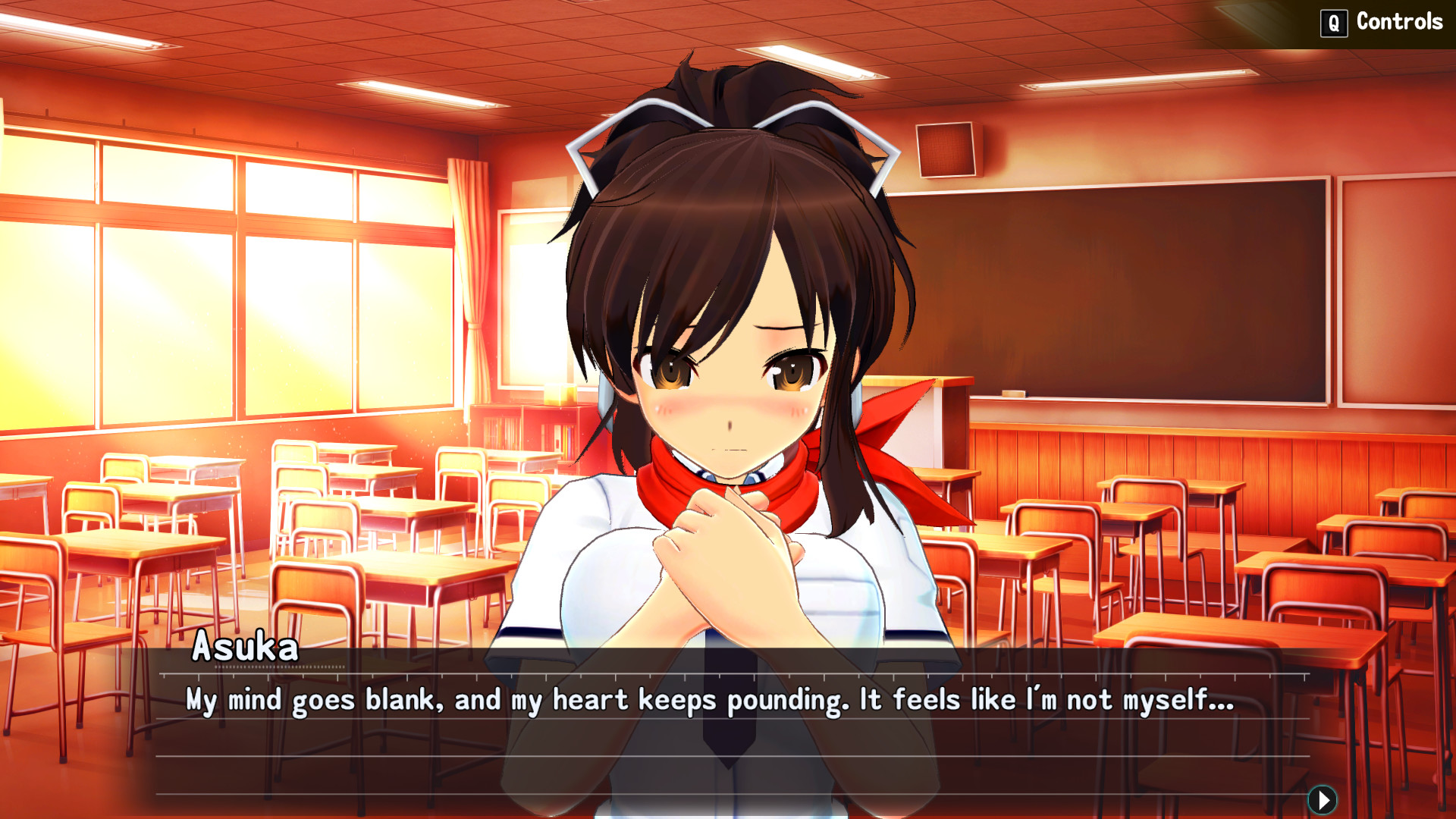 忍纾压：闪乱神乐 Shinobi Refle:Senran Kagura