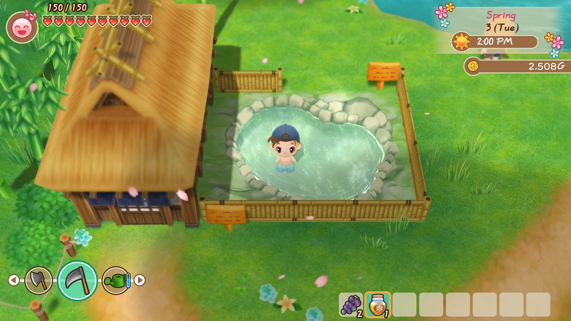 牧场物语 重聚矿石镇 Story of Seasons: Friends of Mineral Town