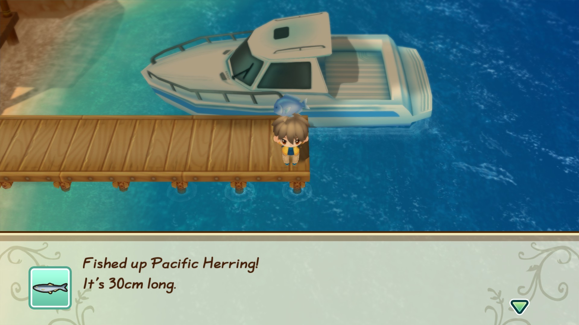牧场物语 重聚矿石镇 Story of Seasons: Friends of Mineral Town