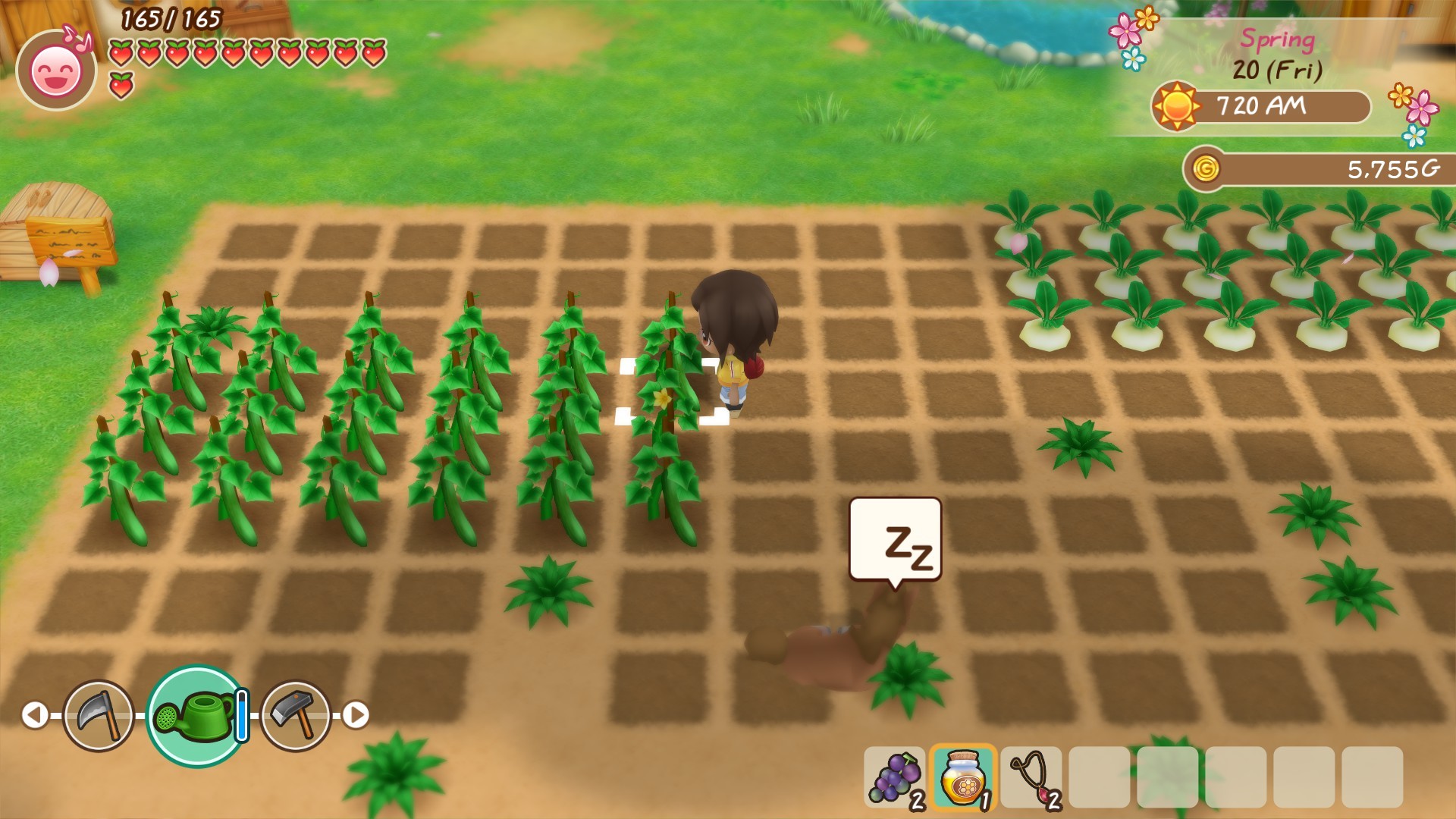 牧场物语 重聚矿石镇 Story of Seasons: Friends of Mineral Town