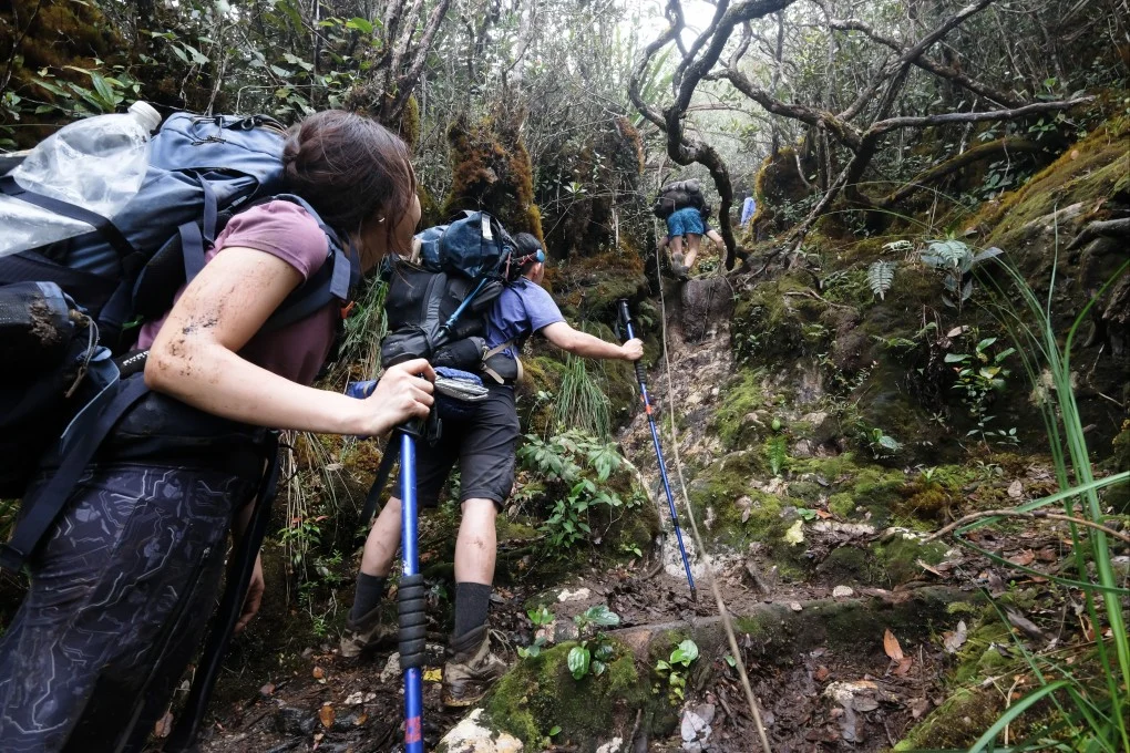 Lost on Malaysia’s Hills: Two Deaths in One Week Expose a Harsh Truth