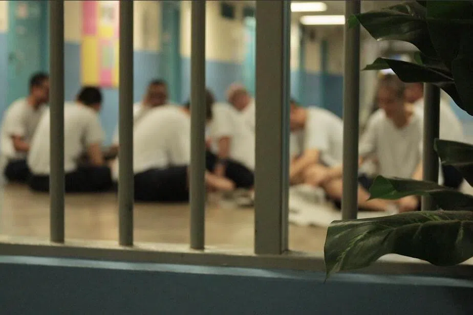 Singapore Considers Chemical Castration for Sex Offenders