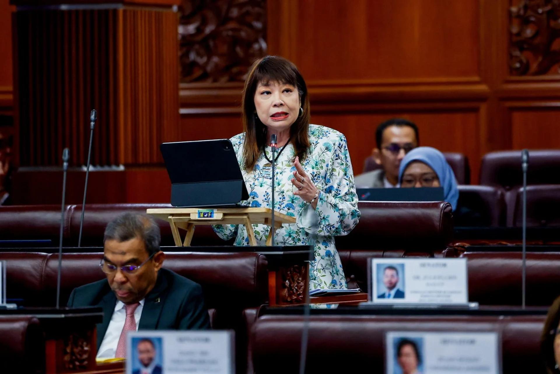 林慧英：政府通过内陆税收局提供的系统有效性高。