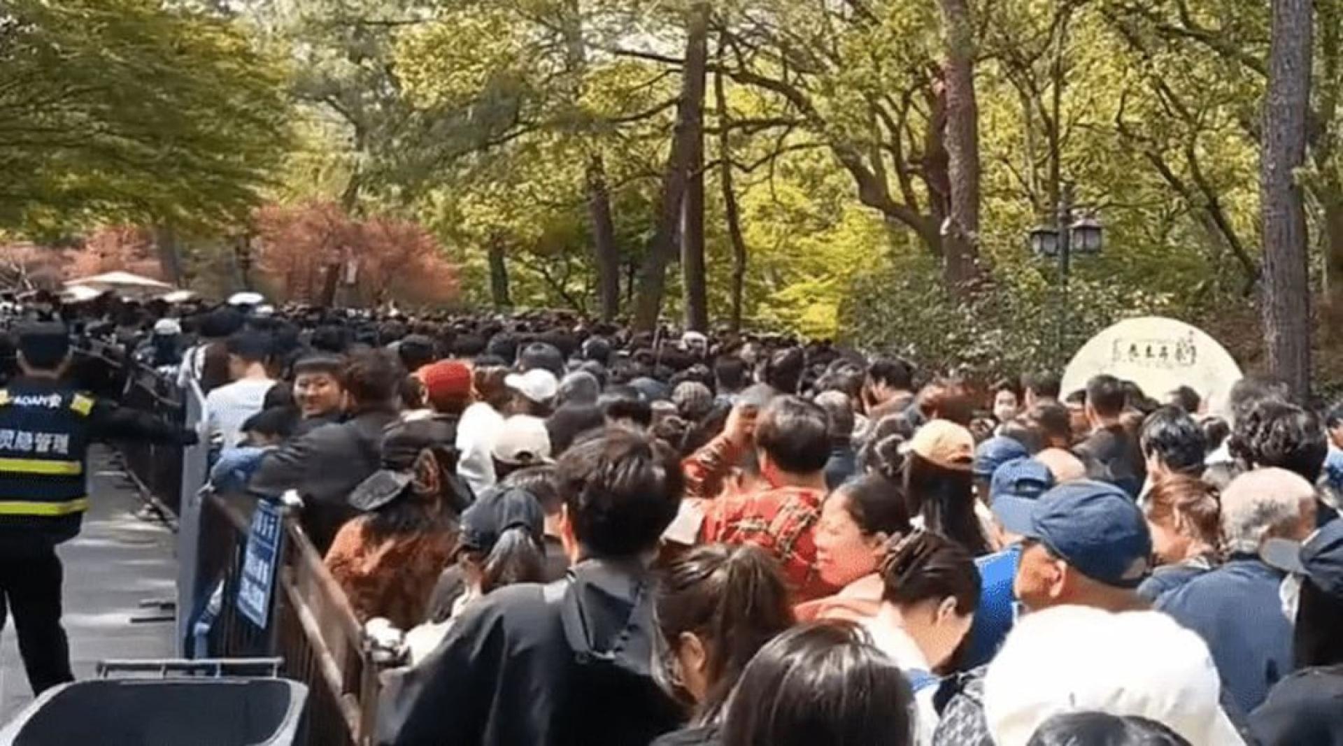 杭州灵隐寺门口排队的人，一眼望不到头。