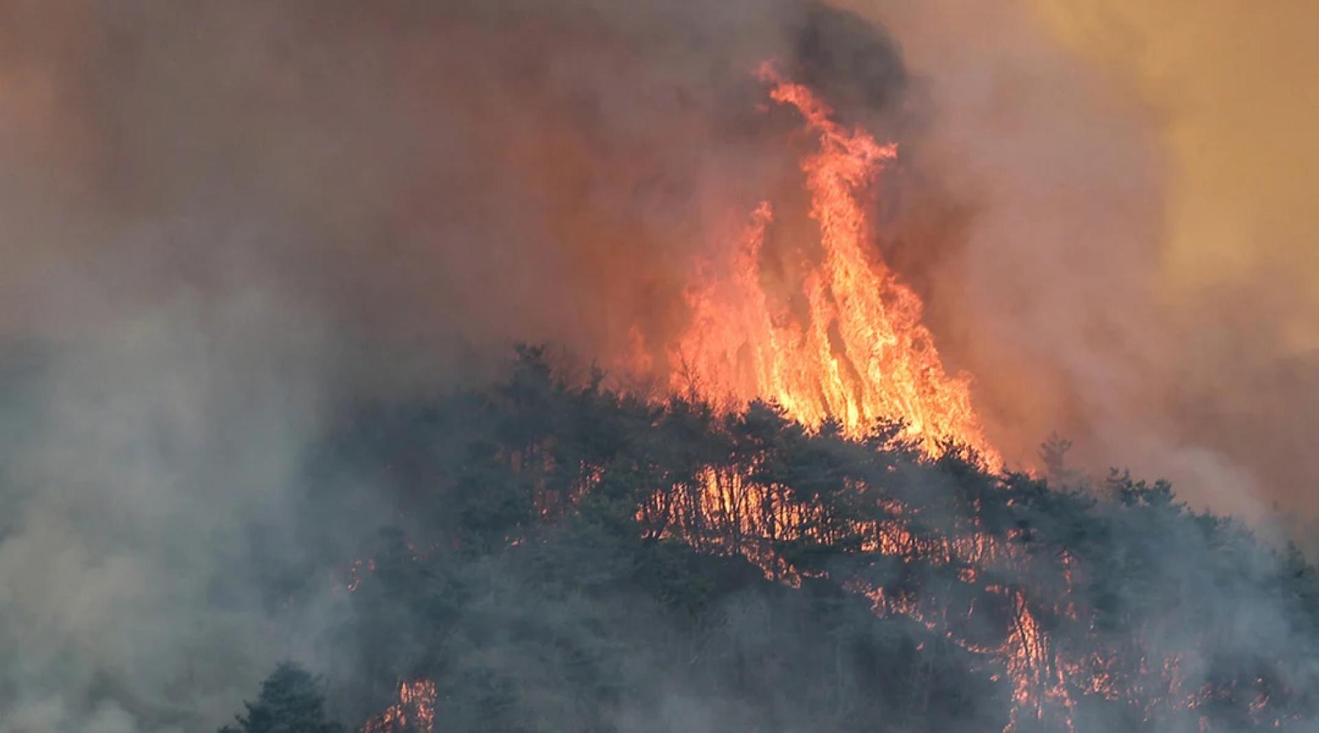 韩国多地自3月21日开始接连发生大规模山火，是韩国史上最严重的山火事件。（档案照）