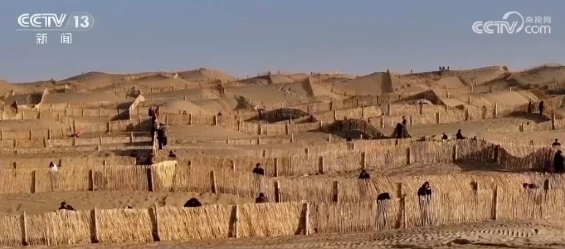 师傅们正在搭建高立式沙障，使得整个沙漠地区的风力有所减弱，沙子才能固得更稳。