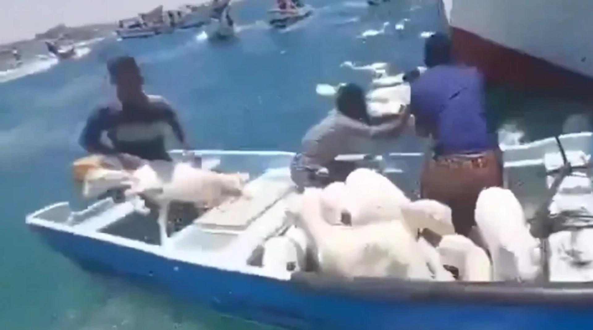 乘着小船的民众，把海上的羊儿救起。