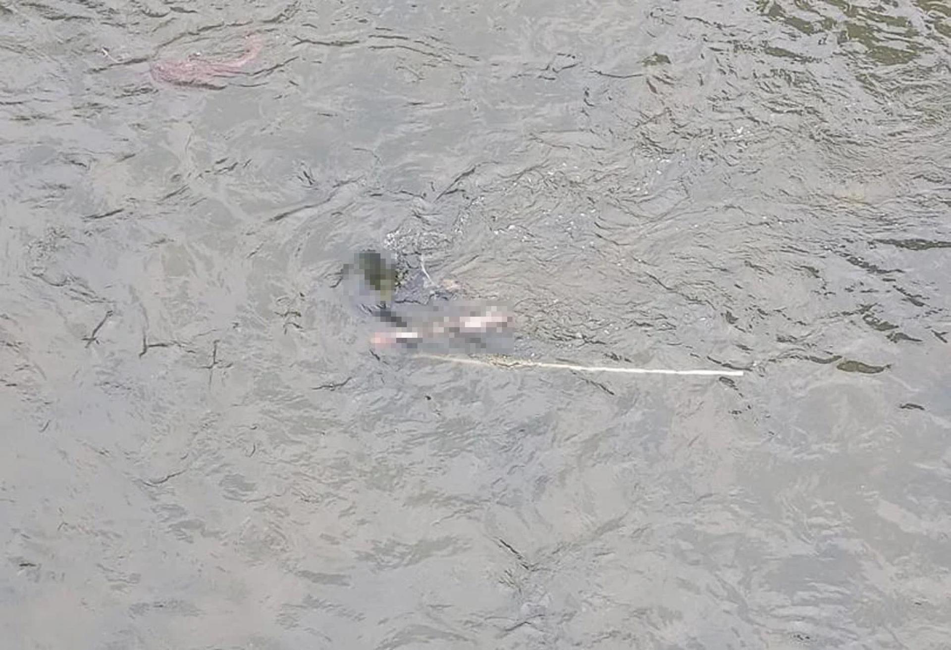 小死者遗体被发现浮在在河流。
