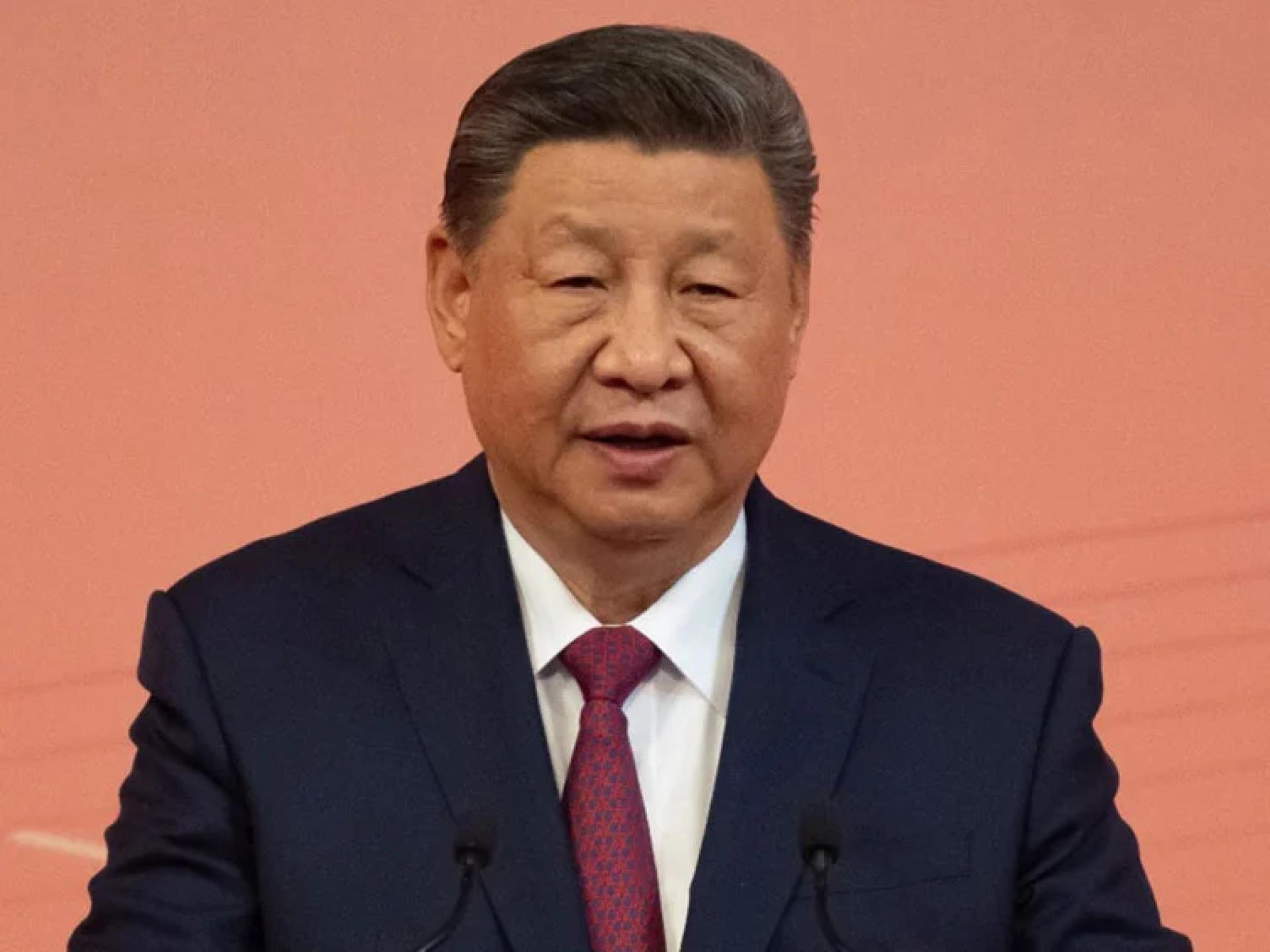 习近平表示，希望中国丹麦商会及会员企业继续在中丹、中欧之间发挥桥梁作用。