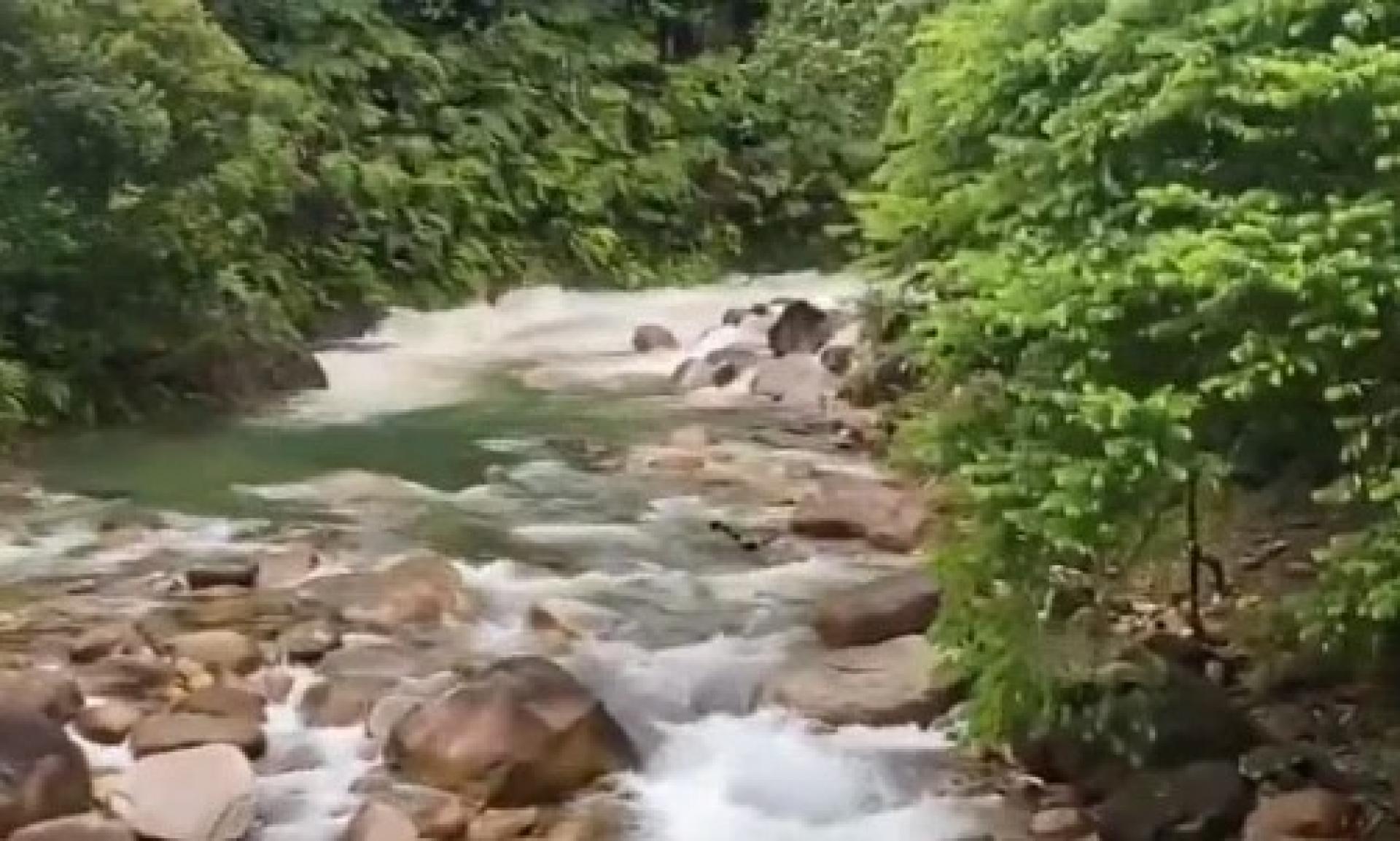 上流的溪水直冲下来。